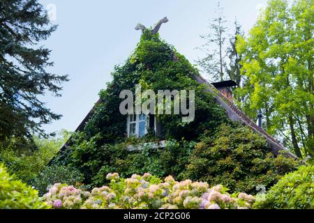 Bewachsenes Haus im Spreewald Stockfoto