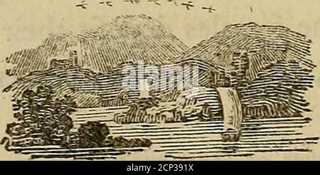 . Geschichte der britischen Vögel : die Figuren auf Holz eingraviert . Ive alfo. - CooisVoyages. Vol. II I H h 242 BRITISCHE VÖGEL. Recebles der Felsen, wo sie und ihre Gefährten, während sie in der Aufzucht ihrer Jungen beschäftigt, sind heardin quaking, ratschende converfe, nicht anders als die unvariierten hohlen Founds einer Reihe von Fröschen. Theyare als ftupid Rasse der Vögel, becaufe theyfeem furchtlefs der Gefahr, und fiffer themfelves zu befo fast näherte sich als eafily zu sein fhot, oder eventknocked auf den Kopf. In der preinbrünation der deiryoung sie feem haben nur eine Art der Verteidigung, und das ist die fmgular Fähigkeit von f Stockfoto