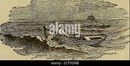 . Geschichte der britischen Vögel : die Figuren auf Holz eingraviert . fhers, und sind Bewohner des Ruhmes Nord-ern Länder; aber dies ist oft mit weiteren Vol. II getroffen. T A l86 BRITISCHE VÖGEL. Fouthward, in Richtung Schottland und seine zahlreichen ad^juccide Gewehre. Es ist auch im Ausland in anderen Ländern sowohl in Europa, Afia und Amerika verbreitet. *Latham decribes es als üblich in der Schweiz-Land, wo es durch den Namen Fluder bekannt ist.Er fays es macht seine Nefl unter den Schilf und Fahnen, und setzt es in das Wasser; fo, dass es continually nass, wie in Fome der Grebe Gattung. Es gibt einen lauten Flirill cr Stockfoto