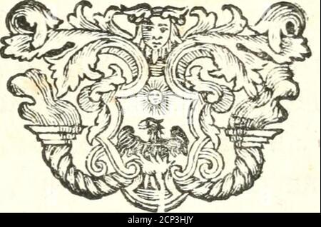 . Veteris gemmae ad Christianum usum exscalptae brevis explanatio ad academicos Etruscos Cortonenses . , Pie jesu elucubravimus , in dieultionis nobis profutura confidimus; nullum enimlaudis , vel pra^mii ftudium , aut follicitudo nosexcitavit -ad fcribendum, Fed propofitum unice no-bis fuit, placere tibi , hominibus non difplicere ,pratquem utir, contrem a ni. Igiturquoniam svFFFicitNxiA nostra ex deo est (i) , fiquid utilitatis ex hoc fcripto, cujufquam bono Fu-turum fitjUt aliquando emergat,NON nobis , do« MINE,NON NOBIS (2), SED N Stockfoto