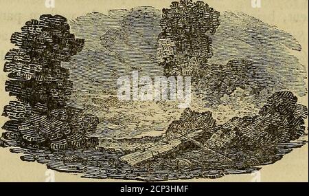 . Geschichte der britischen Vögel : die Figuren auf Holz eingraviert . Vol. II. T 138 BRITISCHE VÖGEL. VON DER PHALAROPE, Bill flrait und Hender : noflrils Minute: Körper und Beine wie der Sandpiper: Zehen mit gezuckerten Membranen ausgestattet. BRITISCHE VÖGEL. I39 ROTES PHALAROPE. {^Tringa hyperlorea, Lin. – Le Phalarope cendre, Buff.) Die Rechnung ist schwarz, {Kreditgeber, ftrait, über ein inchlong, und gebogen ein wenig nach unten an der Spitze. Adufky flripe paffes durch die Augen auf den hinteren Teil des Kopfes, wo es mit einem roten darüber verbunden ist, die auf den fides des des Hals fällt:das Kinn und Kehle sind weiß; die Spitze Stockfoto