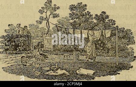 . Geschichte der britischen Vögel : die Figuren auf Holz eingraviert . Es mit anderen Vögeln, und andere Defcriptions, (ohne Zweifel mit Gleichrichtigkeit genommen) die Wahrheit der obinbrünation fo oftenmade, dass zwei Vögel sogar der Ruhm fpecies, arevery feldom exa£lly gleich, wird bewiesen werden. Dieser elegante kleine Vogel brütet in diesem Land, aber die Fpecies sind nicht zahlreich, aber sie sind häufig paarweise während der Fumermonate; Und sind bekannt durch ihre klare Rohrleitungsnote, durch ihren Flug, durch das Aufreißen ihrer Schwänze, und durch ihre Art der Run- Vol. II. T O io6 BRITISCHE VÖGEL» Ning nach ihrer Beute auf der pe Stockfoto