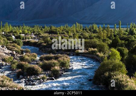 Das Nubra-Tal mit dem Dorf Hundar, Nebenfluss zum Fluss Shyok Stockfoto