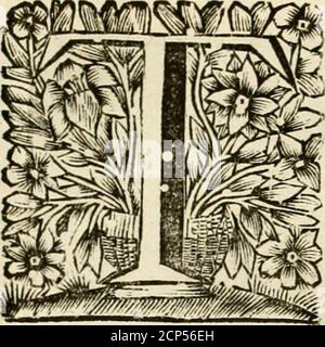 . Theatro Moral de la vida humana, en cien emblemas ; con el Enchiridion de Epicteto ; y La tabla de Cebes, philosofo platonico . .. 19^ ^heatro Moral de la Vida Humana EXPLICACIÓN DEL EMBLEMA NONAGESIMONONO. IENE Mas de Fabulofo y Poeclco efte Emblema,c PaíTaportes uede Moral; y nos rcprefcnta la muerte, reparciendolos ílndiftinccion á codos los Mortales igualmente,   de calidad, fexo, ni edad,- paraquc vayanal lugar que Dios les tiene dertinado, á cada Munqual,enel otro. Por otra parte alude al ciego errorde los Antiguos, que á todos los que morian ( dequalquiera calidad que fueílen) les me Stockfoto