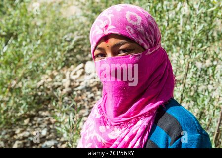 Der Weg zum Kloster Phuktal Gompa mit dem Lingti, Tsarap, Portrait Stockfoto