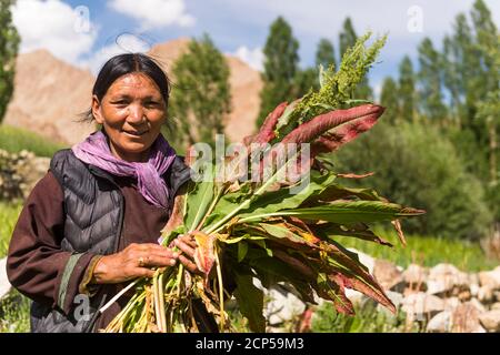 Das Dorf Hemis Schukpachen, Portrait Stockfoto