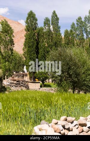 Das Dorf Hemis Schukpachen Stockfoto