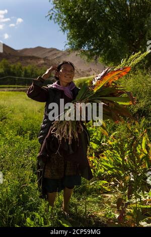 Das Dorf Hemis Schukpachen, Portrait Stockfoto