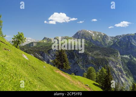 Blick vom Halsköpfl (1,719 m) auf die Gotzenalm, auf der Wanderung rund um den Königssee, Schönau am Königssee, Oberbayern, Bayern, Süddeutschland, Germa Stockfoto