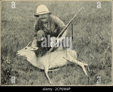 . Pelz und Feder in Nordchina . f Reiter reiten aus und runden eine Herde oder mehrere Herden von Antilope, und treiben sie in das breite Ende der beiden Linien von Gruben. Die Antilope wird nicht versuchen, über die Gruben zu springen, und so drängen sich zusammen und werden die schmaler Gasse hinunter gefahren. Wenn sie die Schützen erreichen, öffnen diese das Feuer und fügen schreckliche Schlachtung zu. Der Rest der Herde, getrieben von Angst, entkommt schließlich über die Linien. Ich weiß nicht, wie die Mongolen die Jagd mit Hunden führen, aber ich sollte mir vorstellen, dass Relais verwendet werden müssen, denn die Antilope ist farspeedier als jeder Hund. Ein Europäer von mir Stockfoto