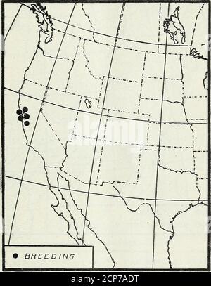 . Verteilung und Migration der nordamerikanischen Schienen und ihrer Verbündeten . wurde am 25. August 1902 in Yuma, Arizona (Braun) genommen. Eier wurden in Ballona, Cal., 16. Mai 1894 (Judson), Xigger Slough, Los Angeles County, Cal., 29. Mai 1906 (Willett), San Diego, Cal., 16. April 1895 und S-10. April 1900 (Thayer) und in San Quintin Bay, Lower California, 27. April 1910 (Howell) gesichert. NORDAMERIKANISCHE SCHIENEN UND IHRE VERBÜNDETEN. 19 KLAPPENSCHIENE. Ballus crepitans crepitans Gmelin. Range. – die Klapperschiene und ihre verschiedenen Unterarten bewohnen Salzwassermarschen der östlichen Vereinigten Staaten von Neu-England bis Texa Stockfoto
