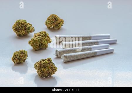 Getrocknete Blume Marihuana und Pre-Rolls Cannabis Gelenke auf einem klaren Hintergrund Stockfoto