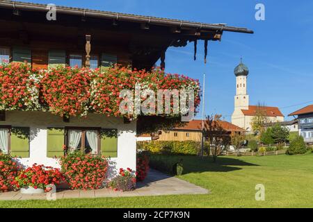 Pfarrkirche St. Martin in Waakirchen, Tegernseetal, Oberbayern, Bayern, Süddeutschland, Deutschland, Europa Stockfoto