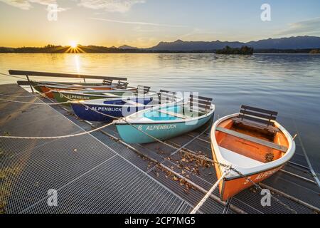 Ruderboote auf dem Staffelsee, Uffing am Staffelsee, Oberbayern, Bayern, Süddeutschland, Deutschland, Mitteleuropa, Europa Stockfoto