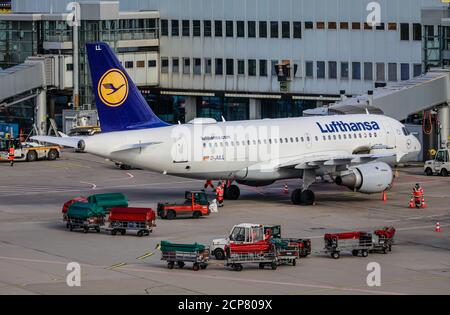 Düsseldorf, Nordrhein-Westfalen, Deutschland - Lufthansa-Flugzeuge am Flugsteig geparkt, Flughafen Düsseldorf, DUS Stockfoto