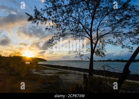 Stimmungsvoller Sonnenaufgang in Daliwuy Bay (Binydjarrnga), East Arnhem Land, Northern Territory, NT, Australien Stockfoto