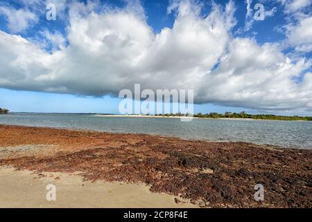 Vormonsoonale weiße Wolken in Daliwuy Bay (Binydjarrnga), East Arnhem Land, Northern Territory, NT, Australien Stockfoto