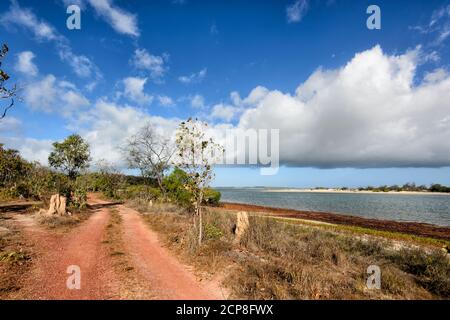 Landschaftlich schöner Blick auf die Küste von Daliwuy Bay (Binydjarrnga) mit rotem Feldweg und Termitenhügeln, East Arnhem Land, Northern Territory, NT, Australien Stockfoto