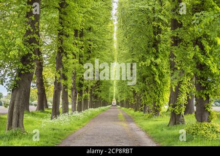 Evenburg-Allee in leer, Ostfriesland, Nordseeküste, Niedersachsen, Norddeutschland, Deutschland, Europa Stockfoto