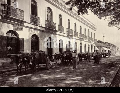 San Jose, Costa Rica, Straße mit Ochsenkarren vor Geschäften, um 1890 Stockfoto