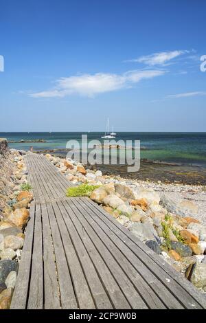 Weg auf der Pilotinsel Schleimünde auf der Schlei, bei Maasholm, Schleswig-Holstein, Deutschland Stockfoto