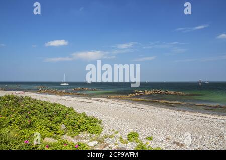 Strand auf der Pilotinsel Schleimünde an der Ostsee, bei Maasholm, Schleswig-Holstein, Deutschland Stockfoto