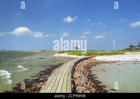 Weg auf der Pilotinsel Schleimünde auf der Schlei, bei Maasholm, Schleswig-Holstein, Deutschland Stockfoto