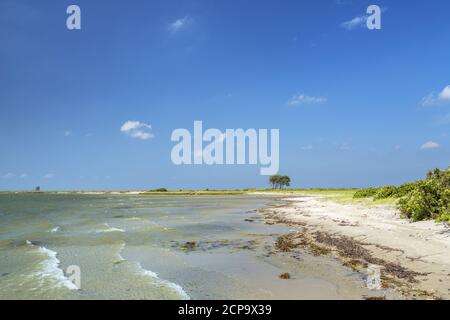 Strand auf der Pilotinsel Schleimünde an der Schlei, bei Maasholm, Schleswig-Holstein, Deutschland Stockfoto