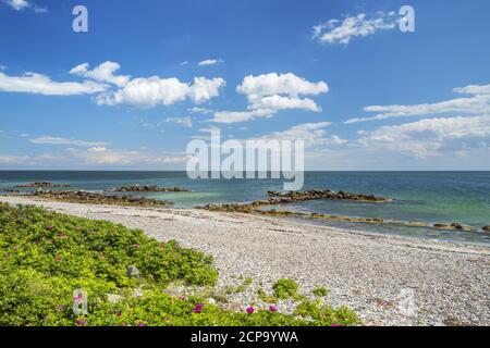 Strand auf der Pilotinsel Schleimünde an der Ostsee, bei Maasholm, Schleswig-Holstein, Deutschland Stockfoto