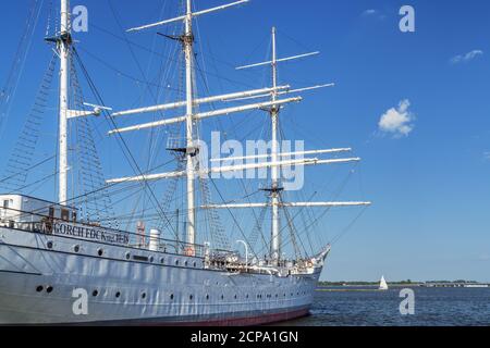 Museumsschiff Gorch Fock im Hafen von Stralsund, Mecklenburg-Vorpommern, Deutschland Stockfoto