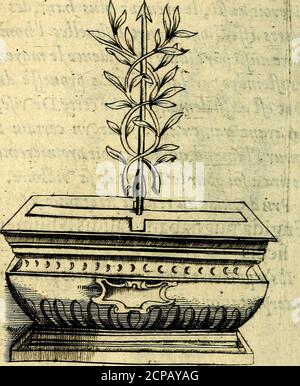 . Entwickelt Heroiques, et Embleme . Lhumide gegen fcc. Le Ti^on ardant au bout, &* foutenantdeuxfeaws deau, que fortuit tn Veui/ê9 GA- HEROI QJT E S. 5? Ha^Vifionte &gt; deuxième de ce nom, Vue deMihnfe pourroit communément entendrede ceus quel on dit quiportet le feu &* leau.Siferoitaufii, le prenant plus haut, des ar-dâmes affections , auec lefieelles lhommeporte auft par àiuineprovidence le moocardejefette la vaiflu déféon) Ayant Vaincu au Combat VN bestimmte sei-vwurjlamandtfui la portait premièrement,la tira a foi pour le Troof Stockfoto