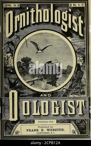 . Ornithologe und Öloge . ndent. Anmerkung aus Gravenhurst, Ont. (O. und 0., IX., S. 36.)Schweineule sollte Sägeeule lesen. Ein Korrespondent (Ira W. Shaw) fragt, ob die Eider Duckor the buffed Grouse bekanntermaßen in der Zucht sind. S. Albert Shaw. Es gibt nichts Ungewöhnliches in whatyon beziehen. J. Anthont, Jr. würde Ihre Notiz als seine Genauigkeit verbürgt einfügen, aber es wurde leider falsch gelegt. Edward C. Everman. Wir hoffen, dass es Ihnen gelingen wird, die Eier des Rotschwanzhacken, dessen Nest Sie beobachten, zu verspeisen. Mehrere interessante Artikel sind unvermeidlich verschobene Quittung für Tanning Stockfoto