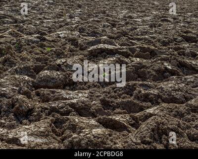 Frisch gepflügt im Frühjahr, Bayern, Deutschland, Europa Stockfoto