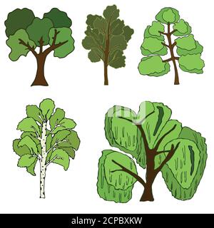 Sammlung von verschiedenen Bäumen. Isoliert auf weißem Hintergrund Stock Vektor
