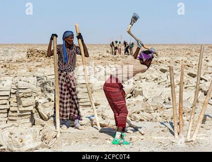 Traditioneller Salzabbau am Assale Salzsee. Focolo genannt Afar Salzarbeiter brechen Holzblöcke aus der Salzkruste des Lake Assale, in der Nähe Stockfoto