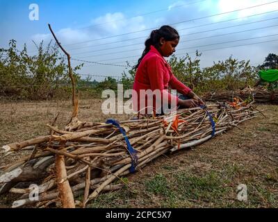 DISTRIKT KATNI, INDIEN - 01. JANUAR 2020: Ein indisches Dorf arme Mädchen Bindung Holzfeuerstöcke auf Waldgebiet am blauen Himmel Hintergrund. Stockfoto