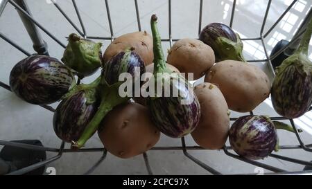 Indische Bio-Brinjal und Bio-Kartoffeln isoliert in Warenkorb oder Korb mit selektivem Fokus. Stockfoto