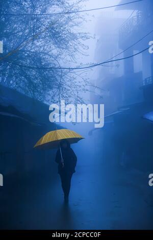 Motion Blur, eine nicht identifizierte weibliche Spaziergänge mit Regenschirm in der dunkelblauen neblig. Einsame Frau in schwarzer Jacke geht mit gelben Regenschirm auf der Gasse. Stockfoto