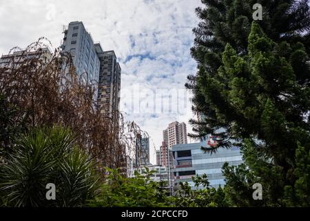 Hollywood Road Park Hongkong Stockfoto