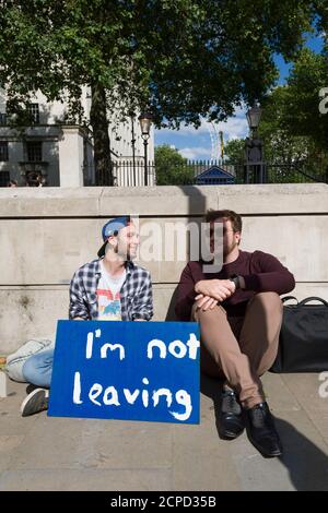 Ein paar Demonstranten vor der Downing Street, nachdem Großbritannien für den Austritt aus der Europäischen Union gestimmt hatte, in der gestrigen Volksabstimmung, Downing Street, London, Westminster, Großbritannien. 24 Juni 2016 Stockfoto