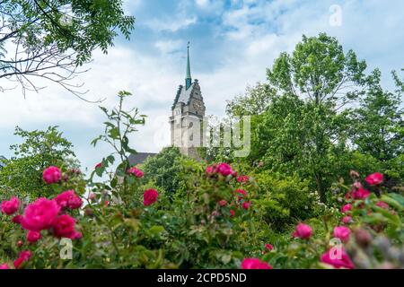 Duisburg, Burgplatz, historische Altstadt, Rathausturm Stockfoto