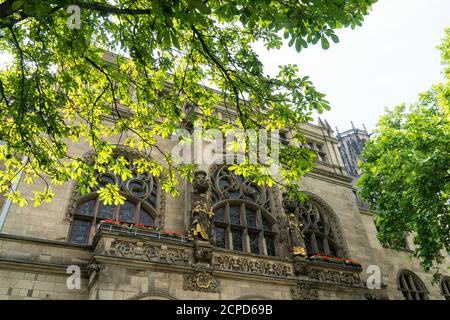 Duisburg, Burgplatz, historische Altstadt, Rathaus, Fassade, Kastanie Stockfoto