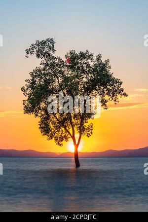 Sonnenuntergang am Klong Muang Beach in Krabi, Thailand Stockfoto