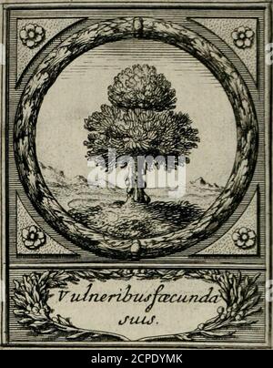 . De l'Art des devises . XL. CE Mot de Virgile applique à vn Loupabbacu fous vn Grand Lyon,fepeutau/îîappliquer à vn Prince qui scft pris à vn autrePrince plus puiflanc que luy , & la attiré à fàruine. RRR-GERÄTE. XL T. Larbre qui porte la Myrhe eft riche5maisTes richefTes font au dedans j àc elles n enforcent que par les incifions qui luy font faites.Le Mot eft dOvide, & fe peut appliquer, auiîîbien que la figure, à vn Eftat dont les richefTesfont tirées pour publir au Bien c. ICH NEHME AN. 4P^ Stockfoto