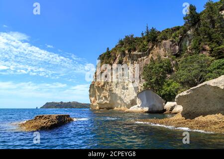 Shakespeare Cliff steigt steil aus dem Meer in der Nähe der Stadt Whitianga auf der Coromandel Peninsula, Neuseeland Stockfoto