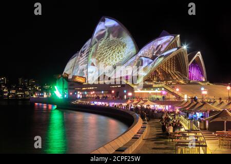 Das Sydney Opera House bei Nacht, beleuchtet mit Projektionen australischer Blumen während des jährlichen "Vivid Sydney" Festivals. Mai 26 2019 Stockfoto