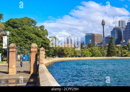 Sydney, Australien. Ein Blick auf den Royal Botanic Garden, die Skyline der Stadt und Farm Cove, aufgenommen vom Mrs Macquaries Point Stockfoto