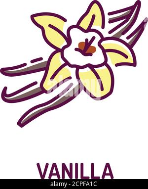 Vanilleschoten und Blume mit Beschriftung Farbe Linie Symbol. Gewürze, Gewürze. Zutat zum Kochen. Piktogramm für Webseite Stock Vektor