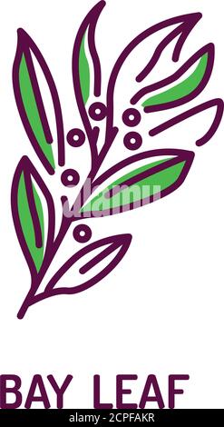 Symbol für die Farblinie der Bay-Lamellen. Gewürzprodukt. Zutat zum Kochen. Piktogramm für Webseite, mobile App, Promo. Stock Vektor