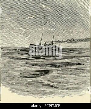 . Vögel der Welle und Wald. Illustriert von Charles Whymper und anderen . DER ADLER DES MEERES der laro-est eao-le, den wir inGroßbritannien haben, ist der erne oder Seeadler eagleâthe. Es fischt zwar nur nach seiner Nahrung, isst aber selten Fisch, es sei denn, es raubt einen anderen Vogel. Aber es leviestoll nach den Seevögeln selbst, travel den Guillemot und den Papageientaucher und sie seine Beute bilden. Bypreference baut es auf den travel festesten Felsen auf den stormiestcoores, aber wenn es felssinland finden kann, das genug schroff ist, und das einige übersehen. 156 VÖGEL DER WELLE UND WALD Strecke des Wassers wh Stockfoto